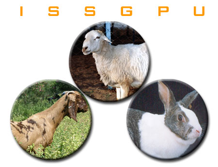 INDIAN SOCIETY FOR SHEEP AND GOAT PRODUCTION AND UTILIZATION (ISSGPU)